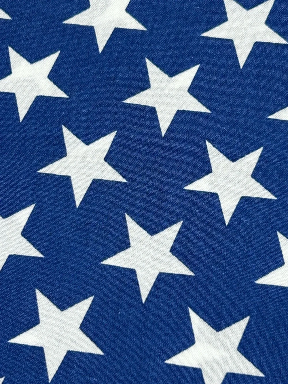Williams Sonoma Patriotic Blue Star Print Cloth Napkins